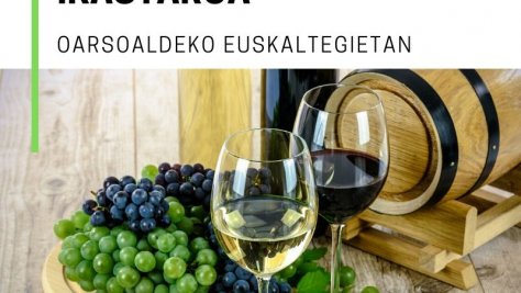 Talleres sobre degustación de vinos en los euskaltegis de Oarsoaldea