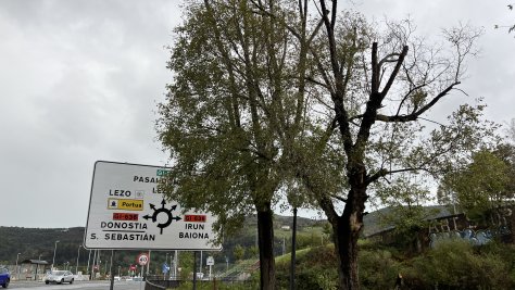 Zuhaitz mozketa lanak egingo dira larunbatean Altamira eta Renfe inguruan