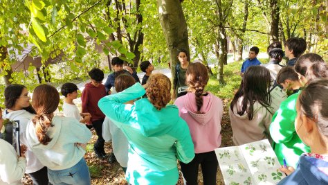 INSTITUTUA ZUHAITZAK