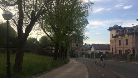 Jaizkibel hiribidean dauden zuhaitzetan mantenu lanak herritarren segurtasuna bermatzeko