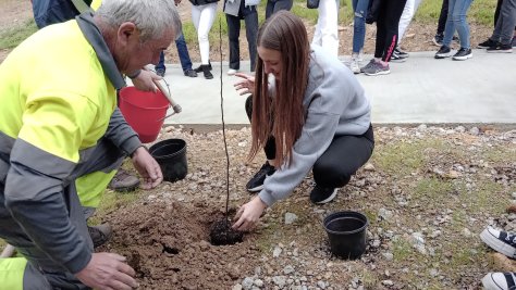 Alumnos y alumnas de 4º curso de Lezo Institutua realizan una plantación simbólica de árboles en el Parque de Altamira   