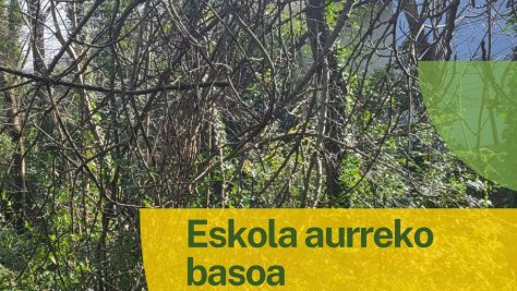 Herri Eskolako hazitegia