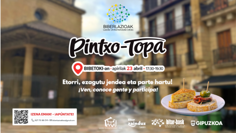 Pintxo-Topa, Lezoko zaintza-sistema eratzeko topaketa informala