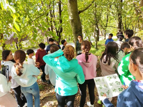 INSTITUTUA ZUHAITZAK